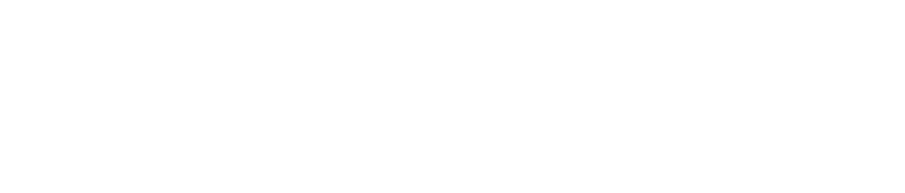 Universidad Santo Tomás